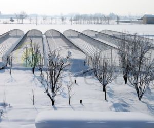 Cold weather greenhouses