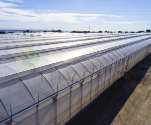 Greenhouses temperate climate